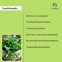 herbasys 100% Pure and Natural Balloon plant Powder (50 g) herbasys 100% Pure and Natural Balloon plant Powder (50 g)