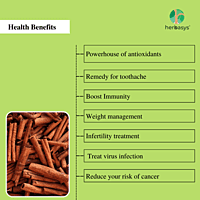 herbasys 100% Pure and Natural Cinnamon Powder (50 g)