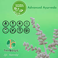 herbasys Natural Glow Ayurvedic Body Lotion (200 ml) herbasys Natural Glow Ayurvedic Body Lotion (200 ml)