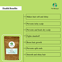 herbasys 100% Pure and Natural Hair Wash Powder (100 g) herbasys 100% Pure and Natural Hair Wash Powder (100 g)