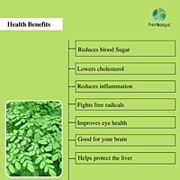 herbasys 100% Pure and Natural Moringa leaves | Drumstick Leaves | powder (50 g) herbasys 100% Pure and Natural Moringa leaves | Drumstick Leaves | powder (50 g)